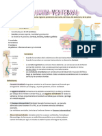 TP 2 - Columna