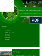 Green Modern Ecology Ecosystem Presentation
