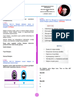 I. 7. Sınıf SB I. Dönem I. Yazılı 2023-2024 Soruları Ve Cevapları
