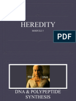 Heredity 3