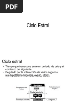 Ciclo_Estral