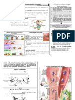 Dysfonctionnement Du Systeme Immunitaire