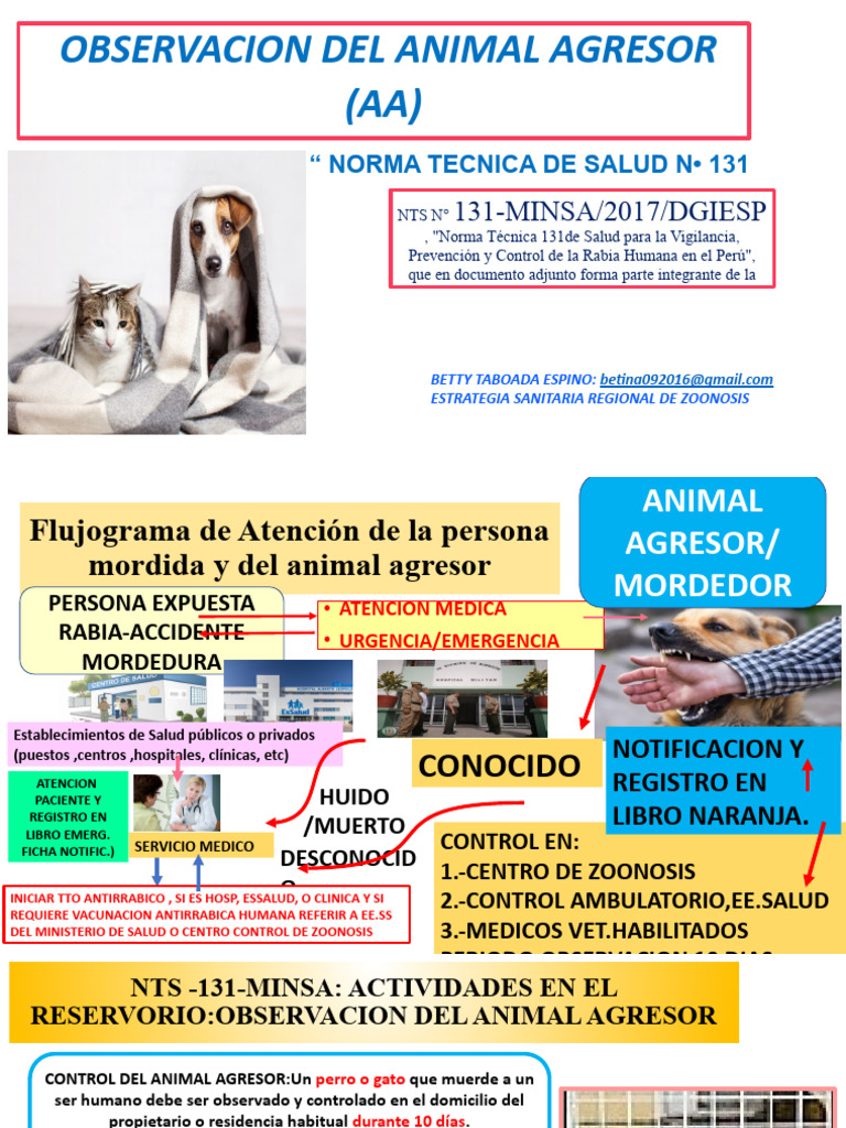 OBSERVACION DEL ANIMAL MORDEDOR-Betty Taboada Espino | PDF | Rabia ...