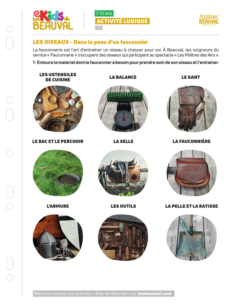 Échelle De Fauconnerie Altawashonline Avec Astroturf Et Bague Bois UK