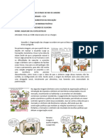 Trabalho Avaliativo CCBB - Educação e Economia Politica