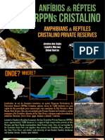 Anjos Etal 2023 Anfibios e Repteis Amphibians Reptiles Cristalino Lodge