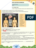 7991 LKPD Sistem Hormon PDF