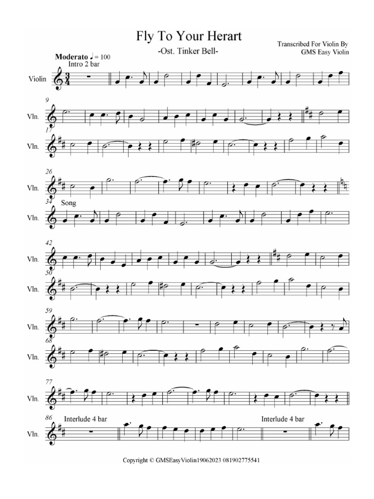 Fly | PDF