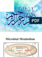 Lecture 4 (Part B) Microbial Metabolism