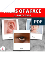 Parts of A Face 3 Part Cards