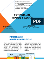 Exposicion Potencial