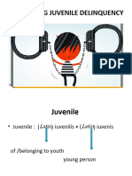 Unraveling Juvenile Delinquency