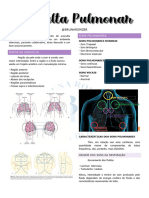 Ausculta Pulmonar - SOI - 1