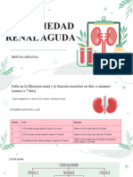 Enfermedad Renal Aguda: Brenda Miranda