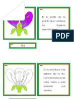 La Flor, Tarjetas de 3 Tiempos (Tipo Chiaravalle)