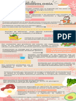 Infografía Conceptos de Alimentación  