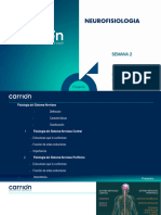 _________NEUROFISIOLOGIA_-CLASE_2-SNC_Y_SNP________