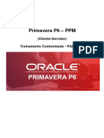 Primavera P6 EPPM R16 PARADAS Cliente-Servidor Portugues