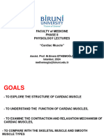 Phase 2 Cardiac Muscle - 1