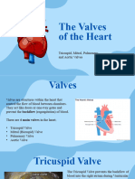 Valves of The Heart
