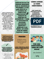 Folleto Informativo Autismo Juvenil