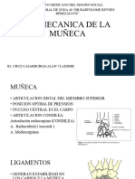 Biomecanica de La Muñeca