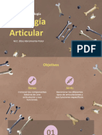 Clase Fisiología Articular