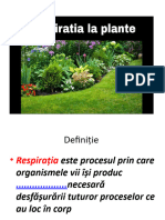 Respirația La Plante