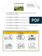 Actividades Del Campo y La Ciudad