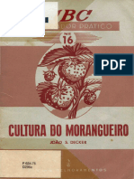 ABC Do Lavrador Prático #16 - Cultura Do Morangueiro - João S. Decker