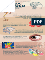 Infografia Sistema Nervioso