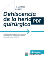 La Ruta para El Cuidado de Una Persona Con Deshidencia Quirurgica