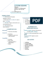 CV Professionnel