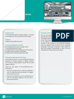 Immunofluorescence Assay Simulation