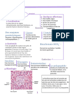 Document Du Pancreas, Fiche Medecine