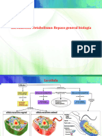 Tema Celula Acidos Nucleicos-QcaOrgyBiol. - FI-FUNER-1C 2020