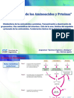 T13Aparte 1 - Met. AA y Proteínas-QcaOrgyBiol - fi-fUNER - Octubre 2020