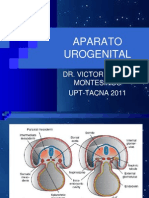 Aparato Urogenital Tec. Medica 2011
