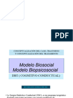 Modelo DBT Conceptualización Del Caso, Trastorno