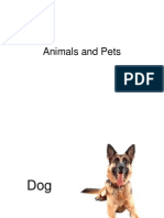 Animals and Pets NXPowerLite