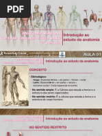 Variações e Anomalias Anatômicas | PDF | Anatomia | Humano