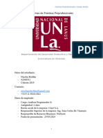 Informe de Prácticas Pre-Profesionales - Nicolas Roldán