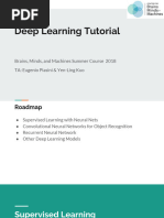 BMM 2018 - Deep Learning Tutorial