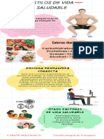 Infografía Estilo de Vida Saludable