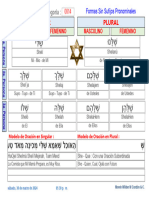 ProtoTipo Verbo Sheli