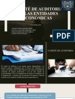 Comité de Auditoria en Las Entidades Económicas