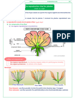 La Reproduction Chez Les Plantes Cours PDF 4