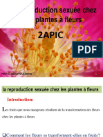 La Reproduction Chez Les Plantes Cours PDF 5