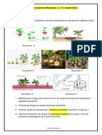 La Reproduction Chez Les Plantes Exercices PDF 2