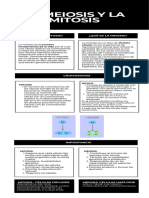 Meiosis y Mitosis